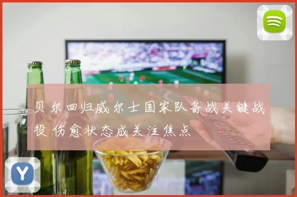 贝尔回归威尔士国家队备战关键战役 伤愈状态成关注焦点