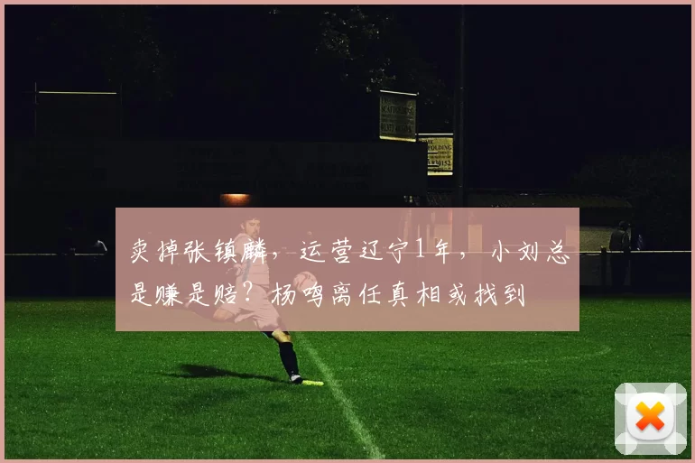 卖掉张镇麟，运营辽宁1年，小刘总是赚是赔？杨鸣离任真相或找到