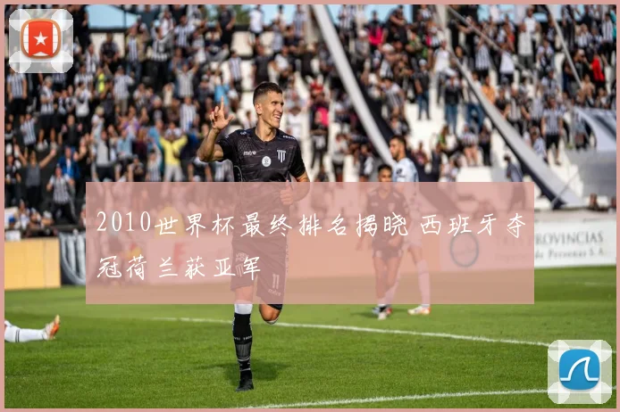2010世界杯最终排名揭晓 西班牙夺冠荷兰获亚军