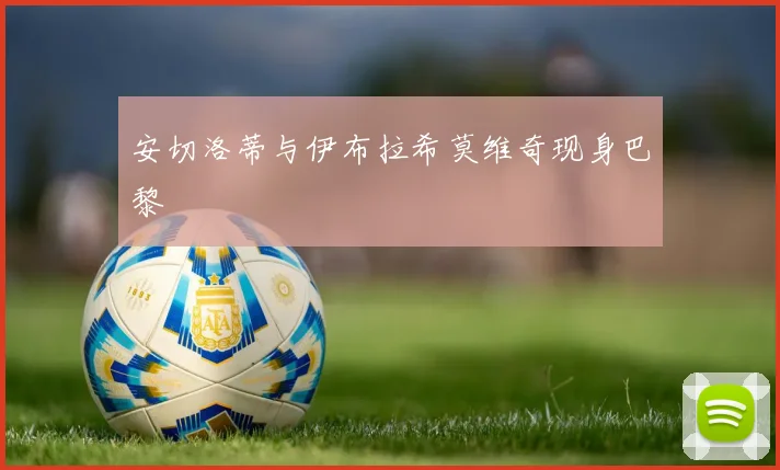 安切洛蒂与伊布拉希莫维奇现身巴黎