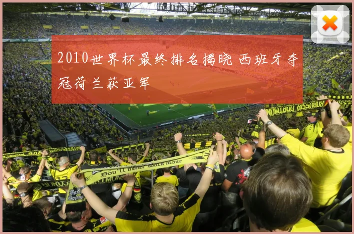 2010世界杯最终排名揭晓 西班牙夺冠荷兰获亚军