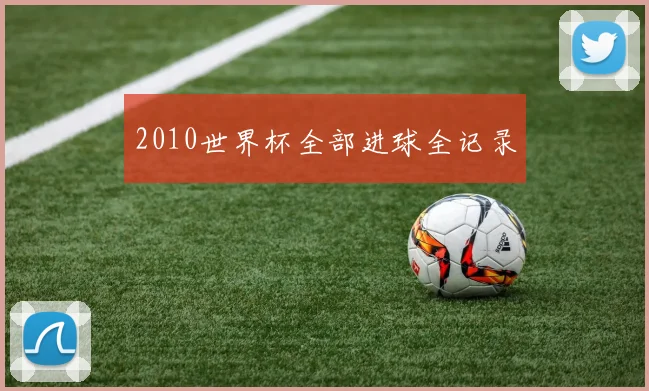 2010世界杯全部进球全记录